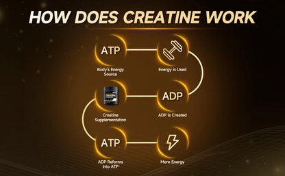 Ahete Micronized Creatine Monohydrate Powder (300g)